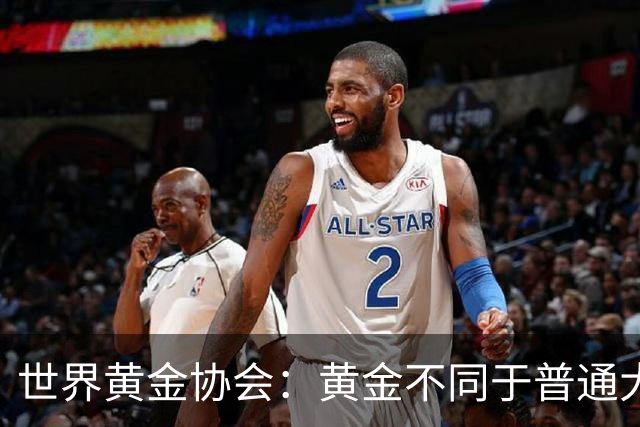 世界黄金协会：黄金不同于普通大宗商品，应当作为独立资产配置