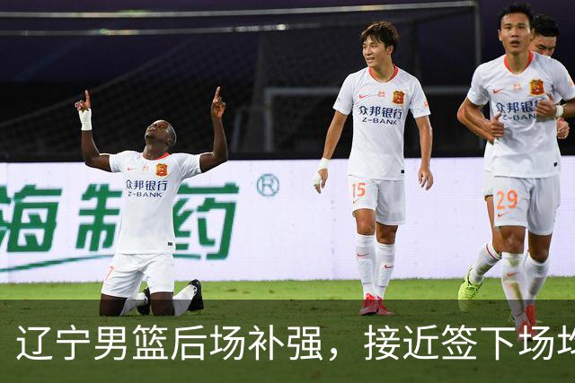 辽宁男篮后场补强，接近签下场均12.7分优质国产后卫，王岚嵚有可能离队！